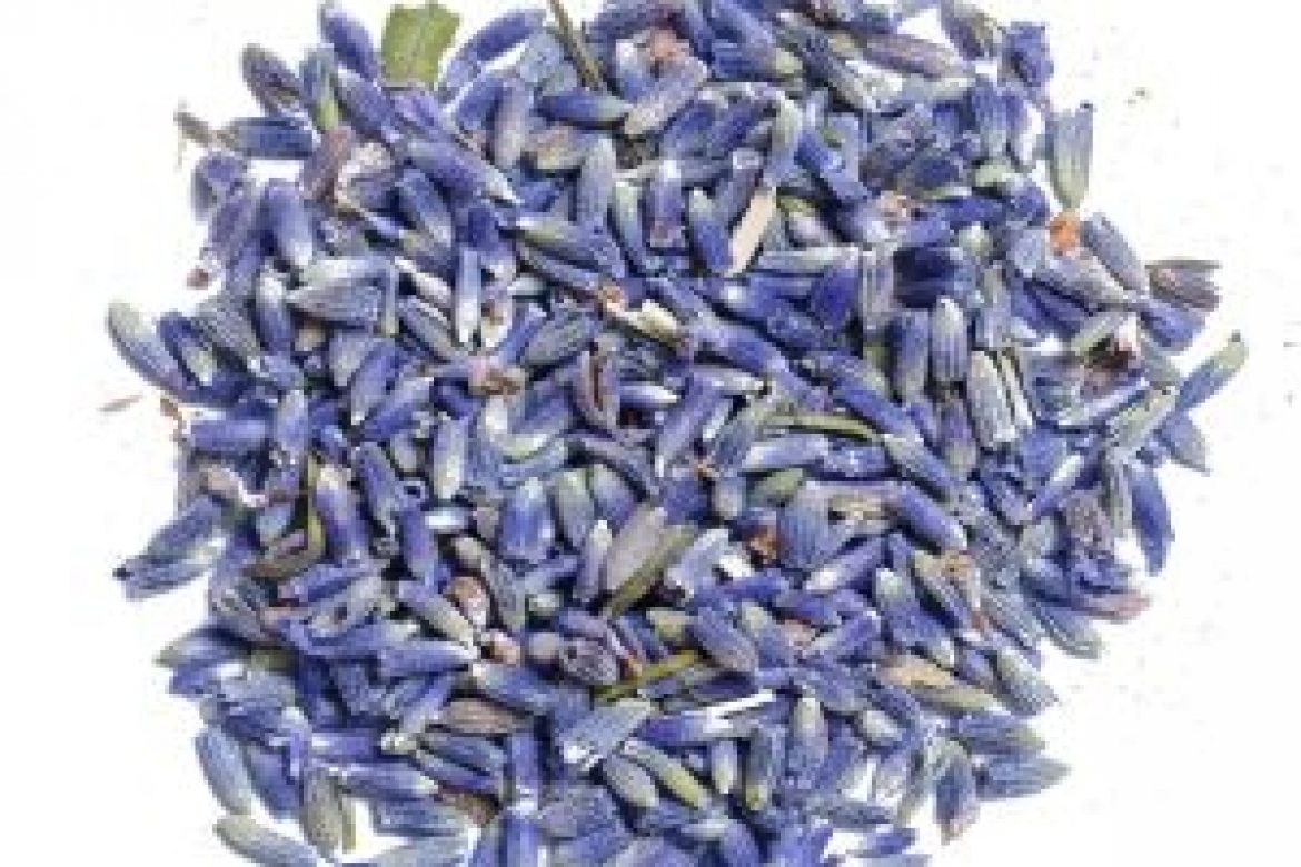 large_square_Lavender_Flower_Buds__Food_Grade__close