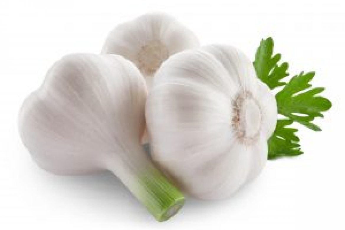 garlic_2